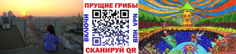 Галлюциногенные грибы Psilocybine cubensis  Купить закладки  Вельск 