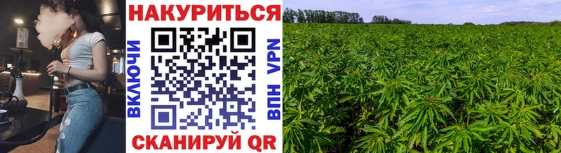 Купить закладки  Вельск  МАРИХУАНА SATIVA & INDICA 